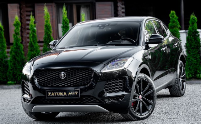 jaguar