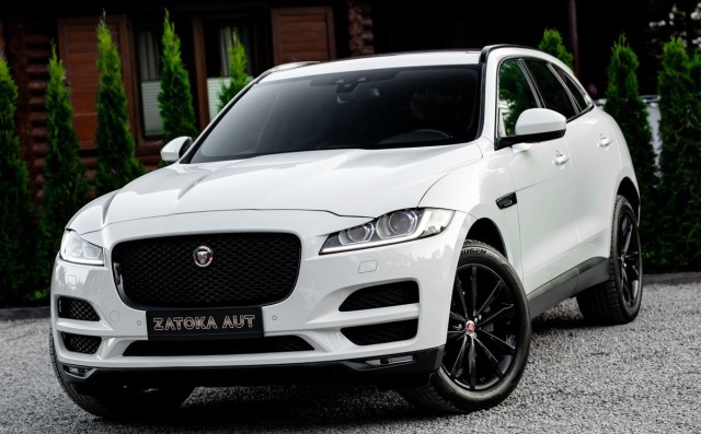 jaguar